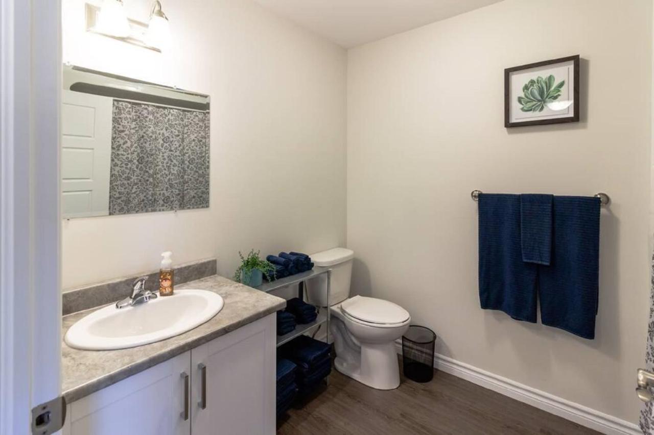 Newly Renovated Modern Condo Near Hospital, Unb Patio & Parking Coffee Сент-Джон Экстерьер фото