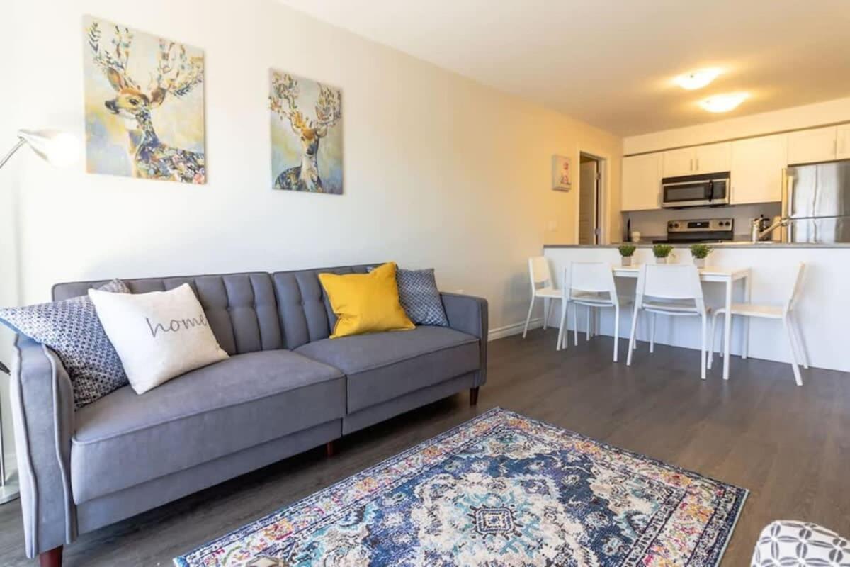 Newly Renovated Modern Condo Near Hospital, Unb Patio & Parking Coffee Сент-Джон Экстерьер фото