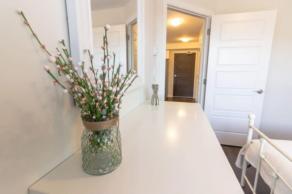 Newly Renovated Modern Condo Near Hospital, Unb Patio & Parking Coffee Сент-Джон Экстерьер фото